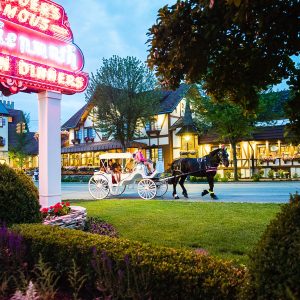 Photo Provided by: Frankenmuth CVB